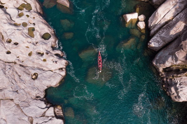 Black Canyon Wildlife on a Kayak Las Vegas